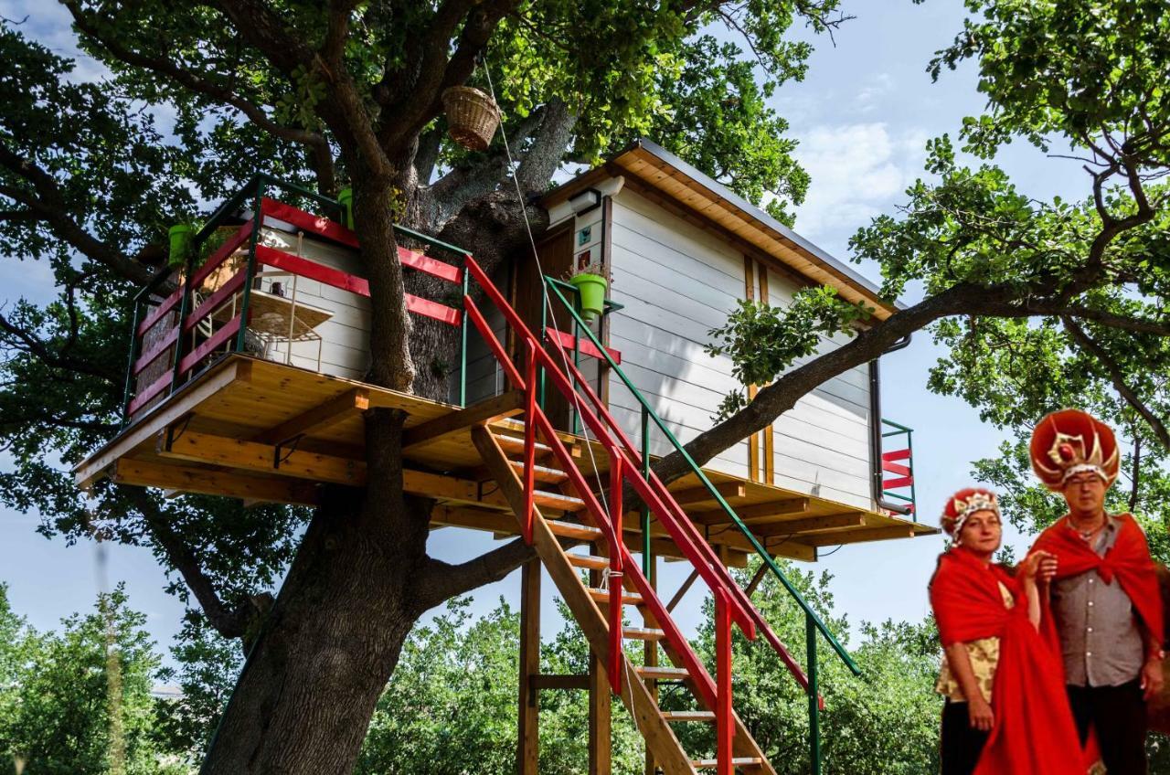 Casa Sull'Albero Lentella Exterior foto