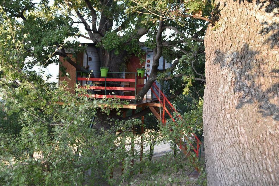 Casa Sull'Albero Lentella Exterior foto