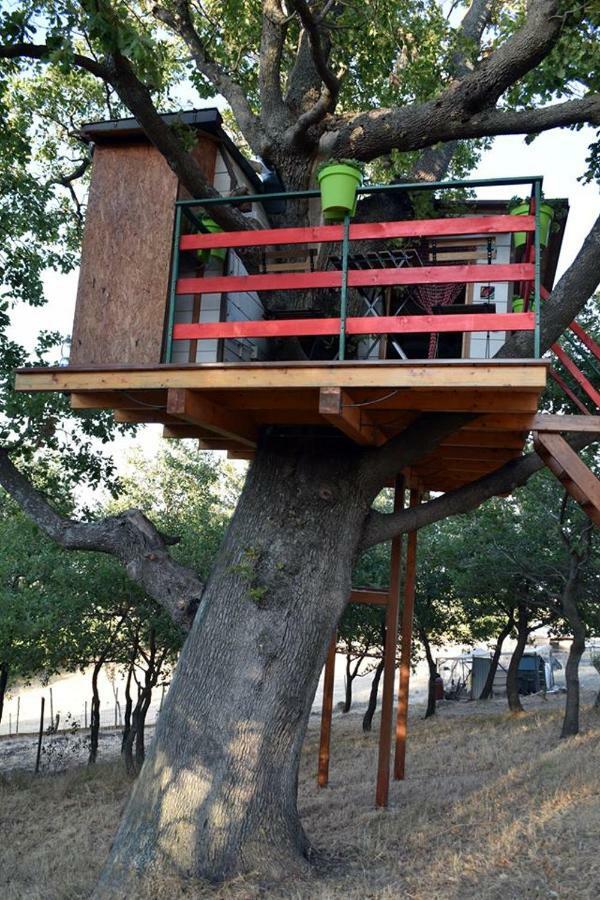 Casa Sull'Albero Lentella Exterior foto